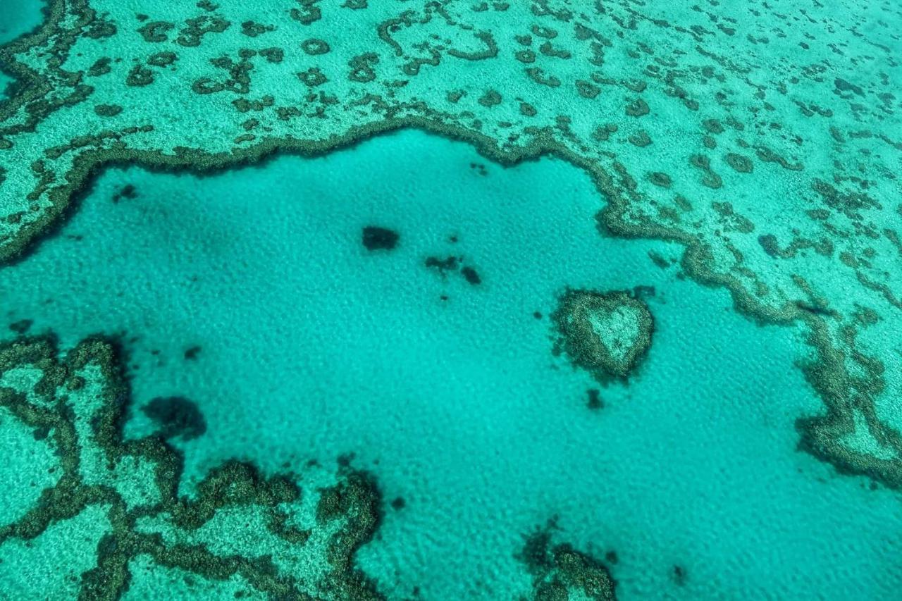 Heart Of Airlie Beach Apartment Dış mekan fotoğraf